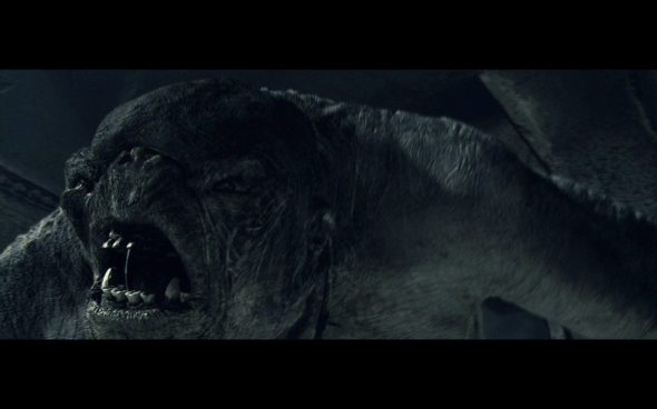 The Lord of the Rings The Fellowship of the Ring - 1279