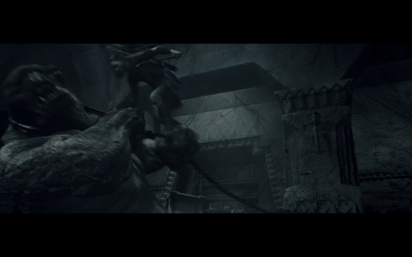 The Lord of the Rings The Fellowship of the Ring - 1288