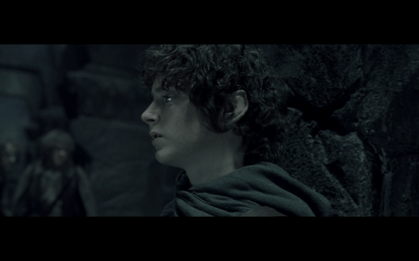 The Lord of the Rings The Fellowship of the Ring - 1298