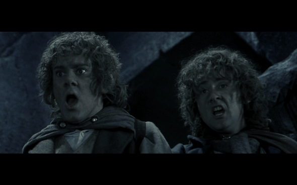 The Lord of the Rings The Fellowship of the Ring - 1310