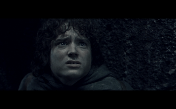 The Lord of the Rings The Fellowship of the Ring - 1316