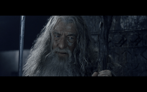 The Lord of the Rings The Fellowship of the Ring - 1325