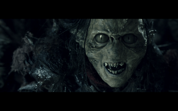 The Lord of the Rings The Fellowship of the Ring - 1337