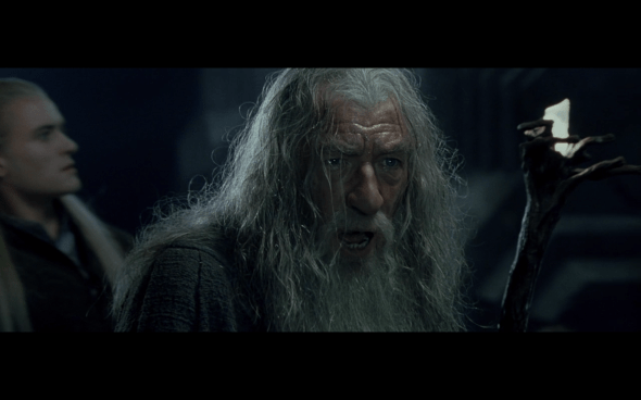 The Lord of the Rings The Fellowship of the Ring - 1353