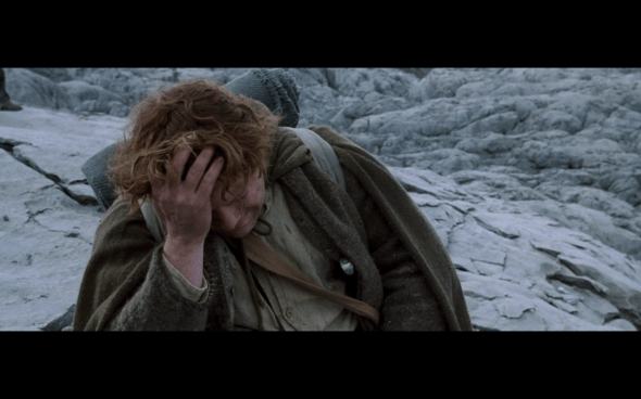 The Lord of the Rings The Fellowship of the Ring - 1455