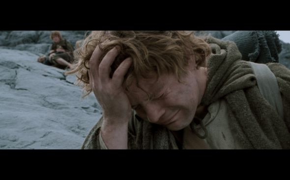 The Lord of the Rings The Fellowship of the Ring - 1463