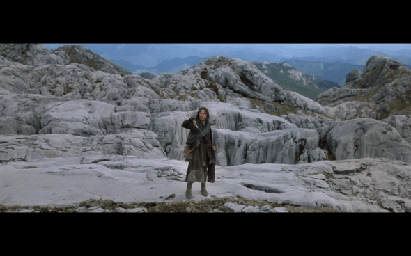 The Lord of the Rings The Fellowship of the Ring - 1466