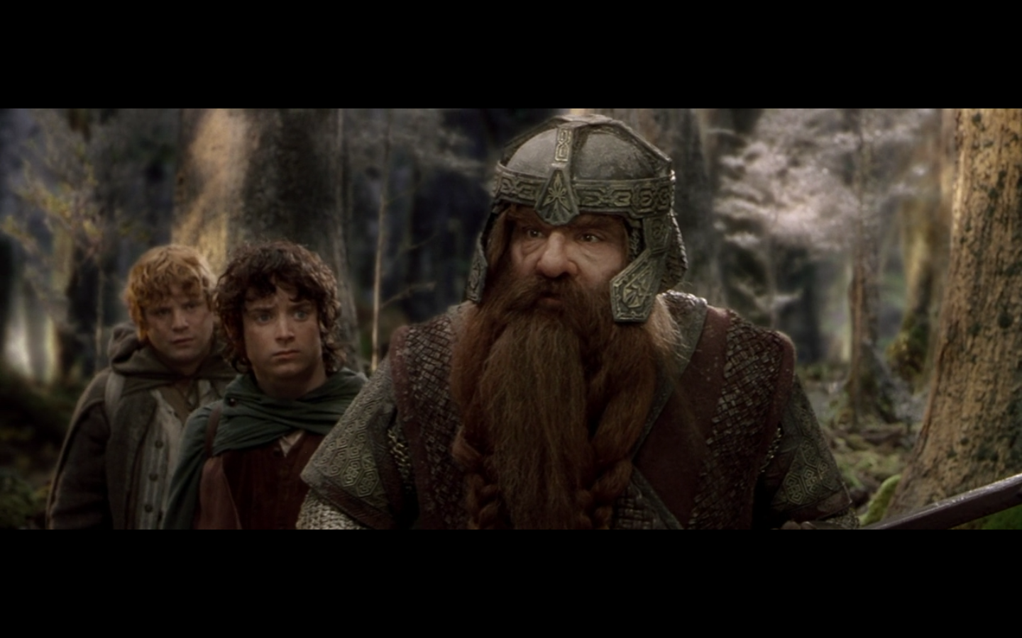 Гном фродо. Фродо бэггинс и гэндальф. Гном с властелина колец. Хоббит бильбо и гэндальф. Элайджа вуд хоббит.