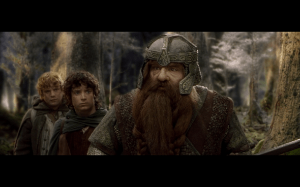 The Lord of the Rings The Fellowship of the Ring - 1473