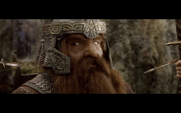 The Lord of the Rings The Fellowship of the Ring - 1480