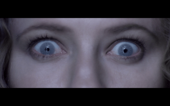 The Lord of the Rings The Fellowship of the Ring - 1500