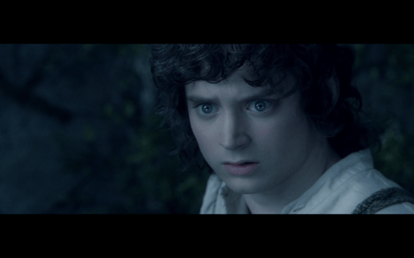 The Lord of the Rings The Fellowship of the Ring - 1529