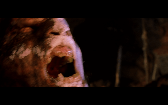 The Lord of the Rings The Fellowship of the Ring - 1556