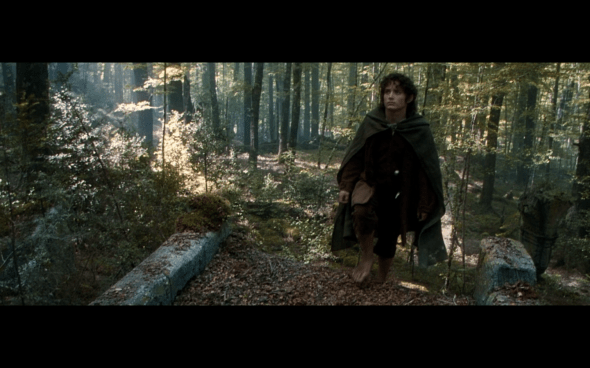 The Lord of the Rings The Fellowship of the Ring - 1599