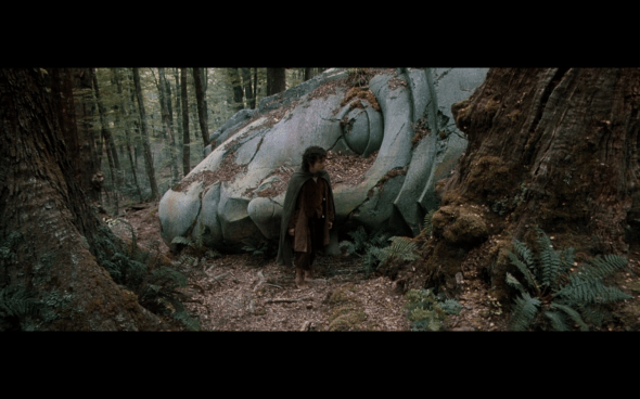 The Lord of the Rings The Fellowship of the Ring - 1601