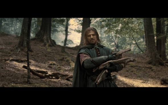 The Lord of the Rings The Fellowship of the Ring - 1602