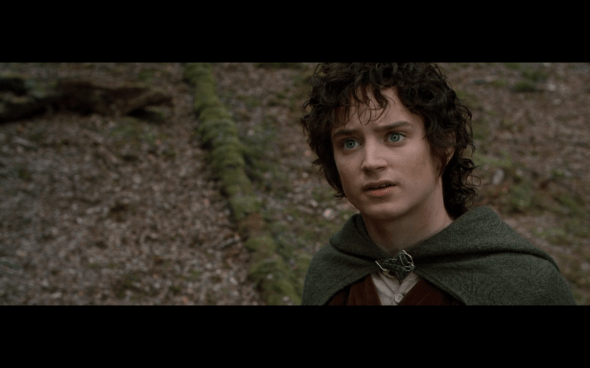 The Lord of the Rings The Fellowship of the Ring - 1604