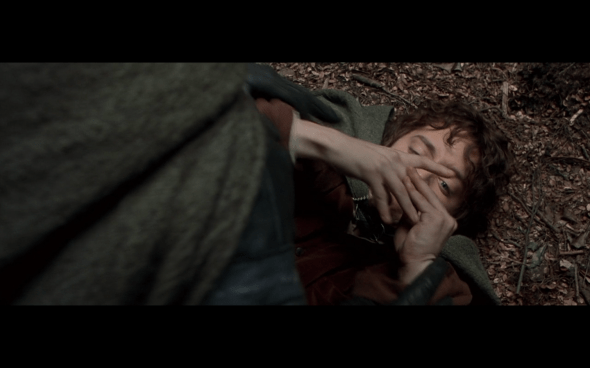 The Lord of the Rings The Fellowship of the Ring - 1606