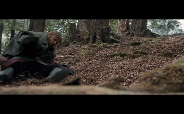 The Lord of the Rings The Fellowship of the Ring - 1607