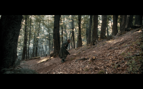 The Lord of the Rings The Fellowship of the Ring - 1608