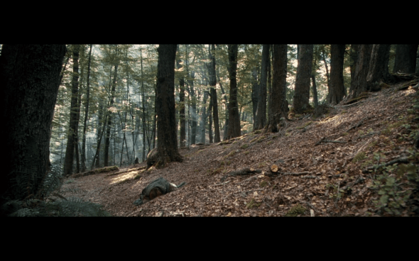 The Lord of the Rings The Fellowship of the Ring - 1609