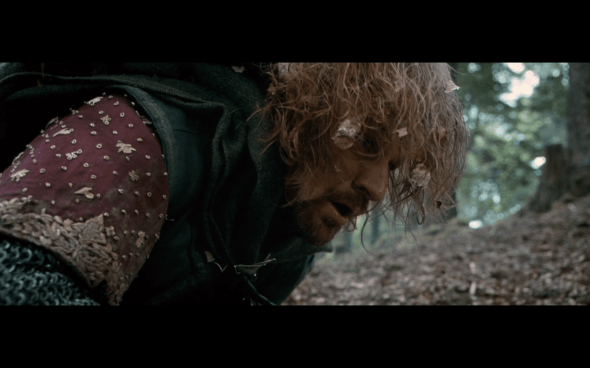 The Lord of the Rings The Fellowship of the Ring - 1610