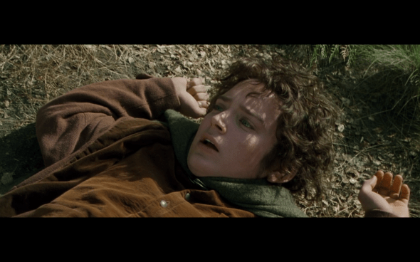 The Lord of the Rings The Fellowship of the Ring - 1617