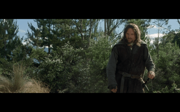 The Lord of the Rings The Fellowship of the Ring - 1620