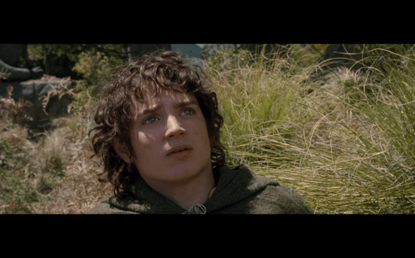 The Lord of the Rings The Fellowship of the Ring - 1621