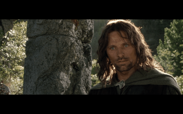 The Lord of the Rings The Fellowship of the Ring - 1627