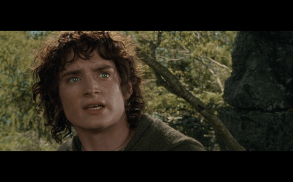 The Lord of the Rings The Fellowship of the Ring - 1630