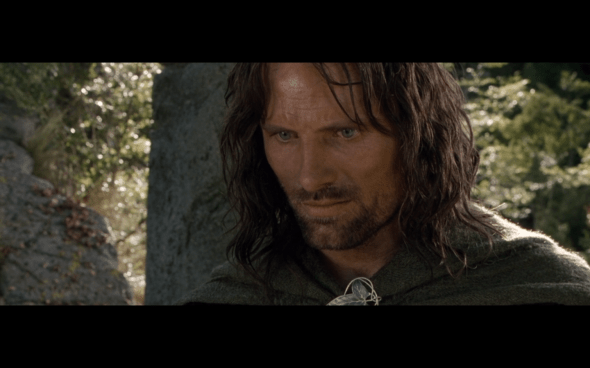 The Lord of the Rings The Fellowship of the Ring - 1631