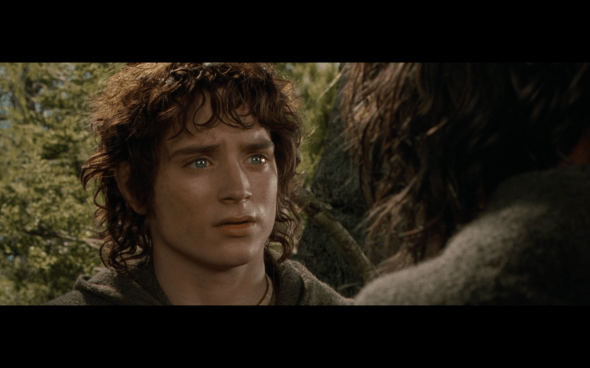 The Lord of the Rings The Fellowship of the Ring - 1640