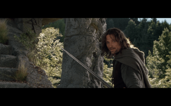 The Lord of the Rings The Fellowship of the Ring - 1643