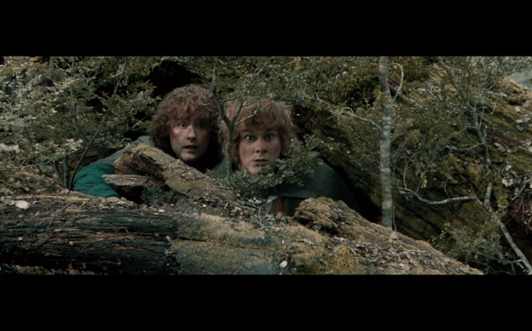 The Lord of the Rings The Fellowship of the Ring - 1666