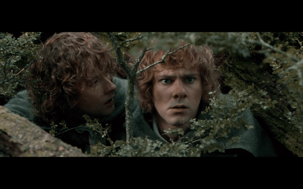 The Lord of the Rings The Fellowship of the Ring - 1668