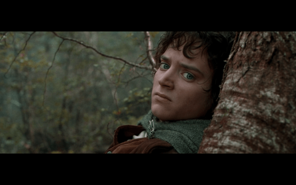 The Lord of the Rings The Fellowship of the Ring - 1669