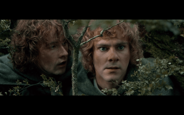 The Lord of the Rings The Fellowship of the Ring - 1670