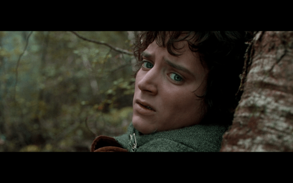 The Lord of the Rings The Fellowship of the Ring - 1671