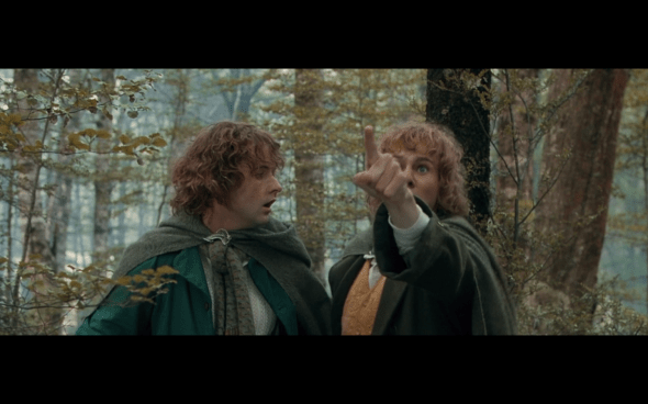 The Lord of the Rings The Fellowship of the Ring - 1672