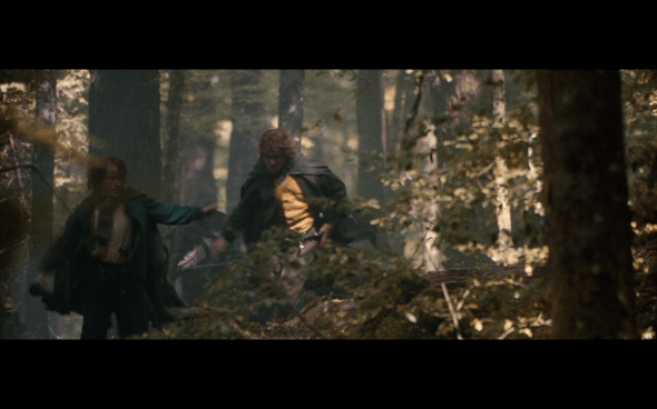 The Lord of the Rings The Fellowship of the Ring - 1673