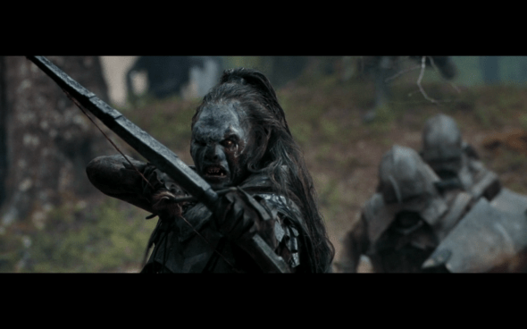 The Lord of the Rings The Fellowship of the Ring - 1699