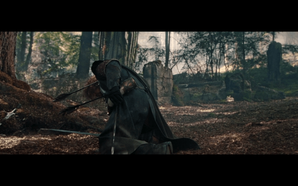 The Lord of the Rings The Fellowship of the Ring - 1702