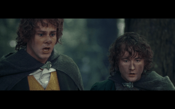 The Lord of the Rings The Fellowship of the Ring - 1704