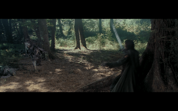 The Lord of the Rings The Fellowship of the Ring - 1721