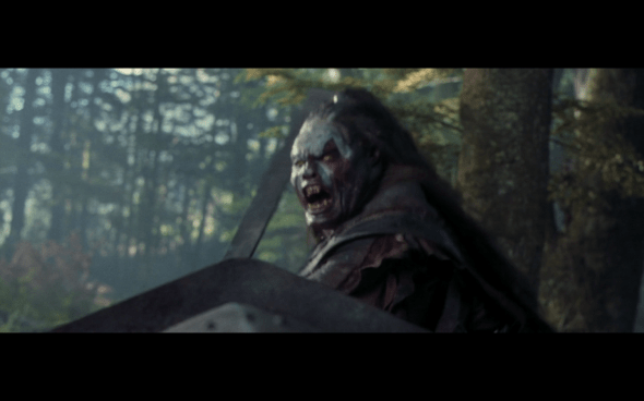 The Lord of the Rings The Fellowship of the Ring - 1725