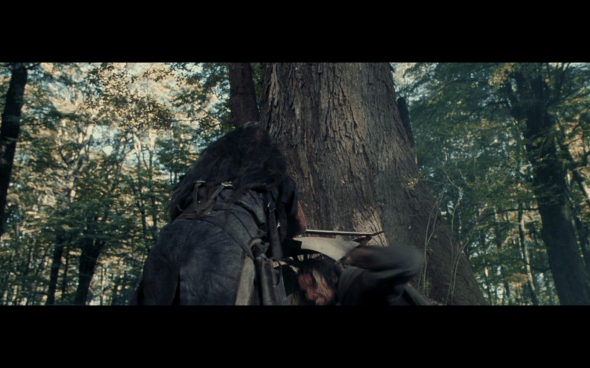 The Lord of the Rings The Fellowship of the Ring - 1728