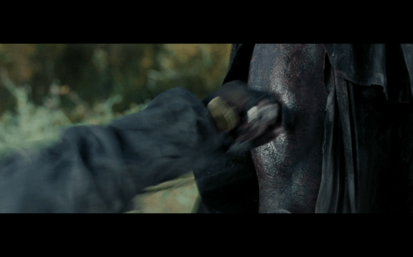 The Lord of the Rings The Fellowship of the Ring - 1730