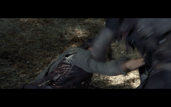 The Lord of the Rings The Fellowship of the Ring - 1732