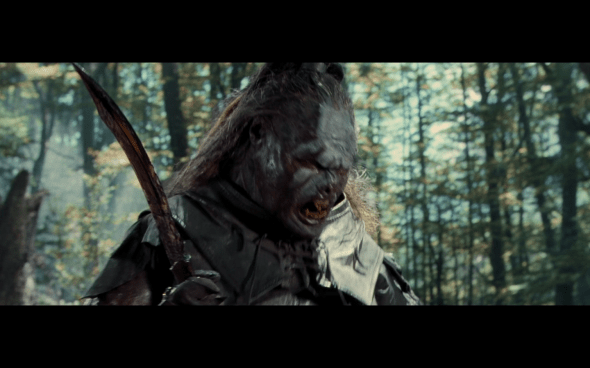 The Lord of the Rings The Fellowship of the Ring - 1735